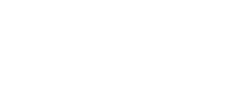 Stork Oracle Network logo